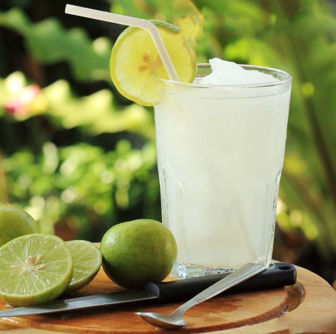 Fresh Lemon Juice — Litchibari Eco Resort Restaurant